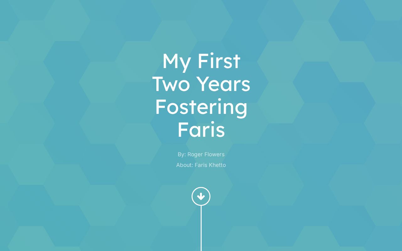 My First Two Years as a Foster Parent